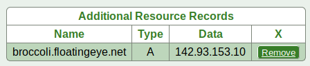 Broccoli DNS Resource Record