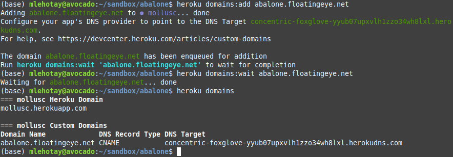 Heroku domains:add